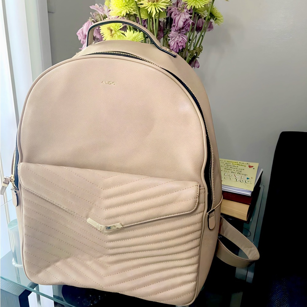 Aldo Tan Book Bag